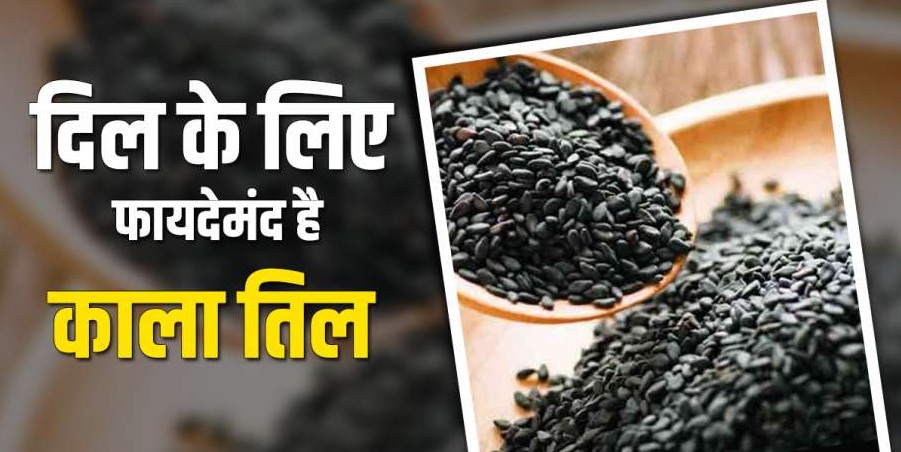दिल के लिए फायदेमंद है तिल, ऐसे खाएंगे तो नहीं होगा हार्ट अटैक और हाई ब्लड प्रेशर |