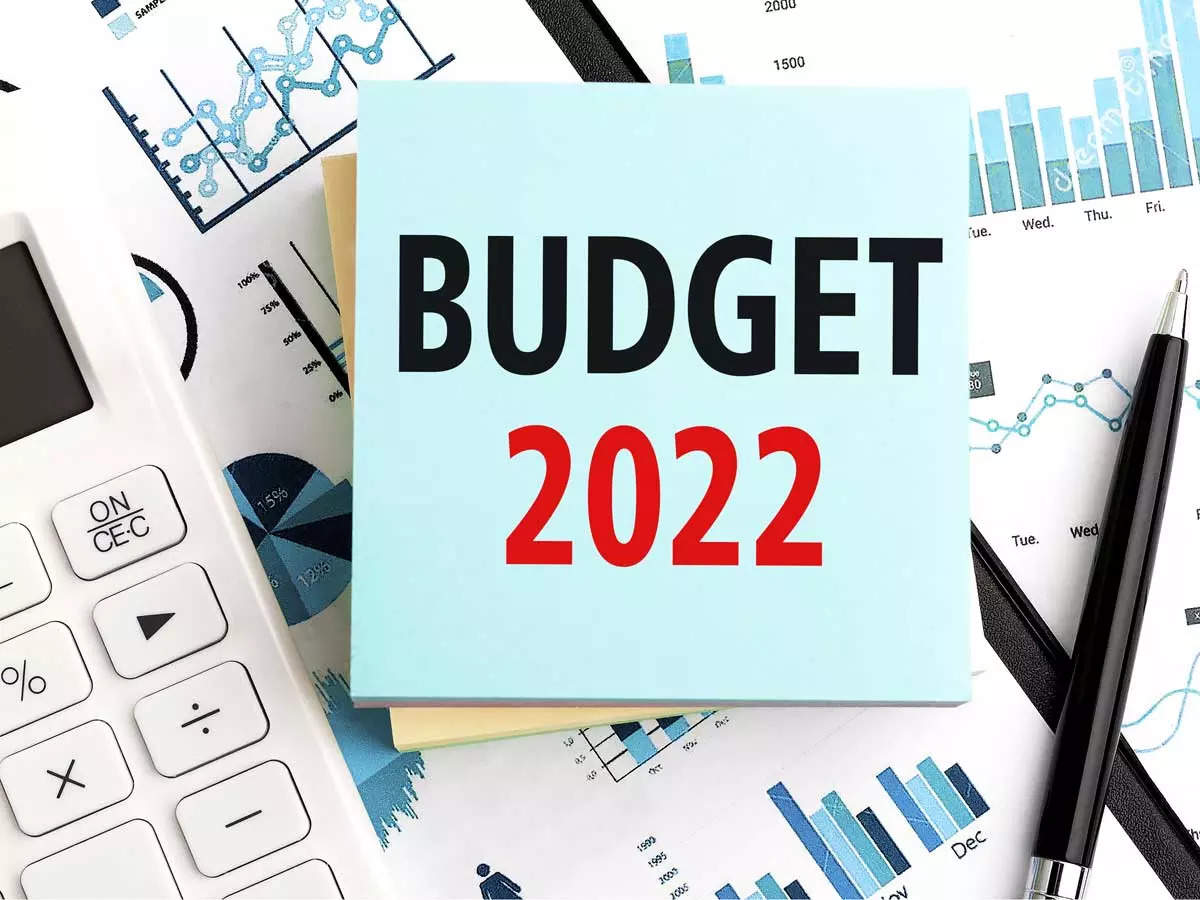 Budget : रिकॉर्ड ग्रामीण बेरोजगारी के बीच सरकार ने बजट में चलाई मनरेगा पर कैंची 